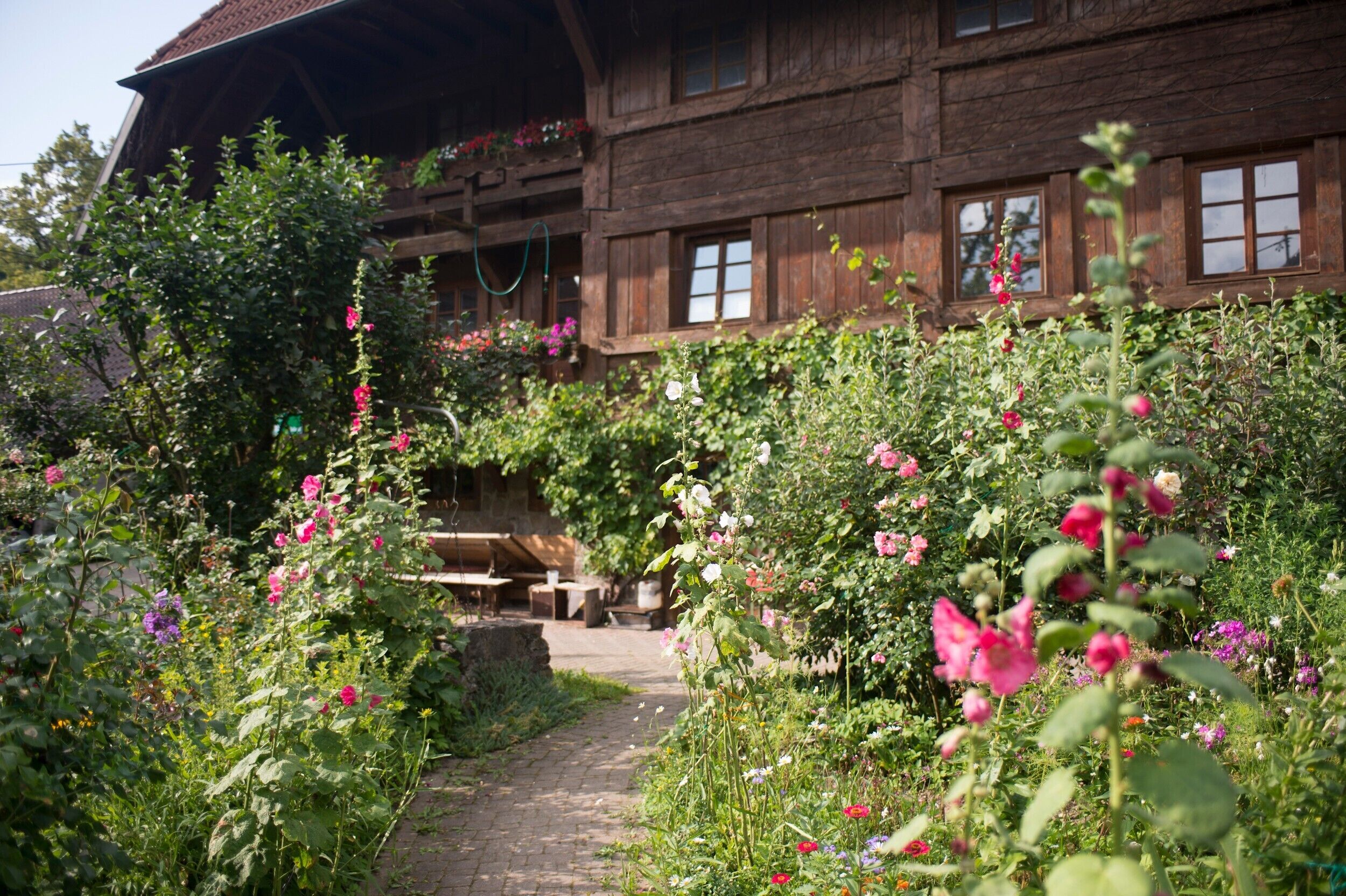 Terrein van de accommodatie