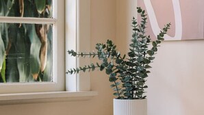 Una consola blanca con una maceta blanca que contiene una planta de hojas verdes.