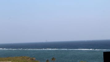 A coastal view with the ocean and a distant shoreline.