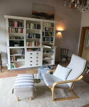 Una Smart TV, una chimenea, un reproductor de DVD, libros