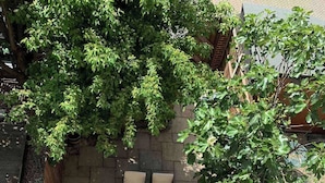 Rom, 1 soverom, terrasse, hageutsikt | Hage
