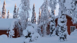 Una cabaña de madera rodeada de árboles cubiertos de nieve.