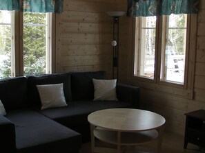 Televisie, een open haard en een dvd-speler