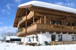 Exterior - Oberschernthann App. 1 (Hopfgarten)