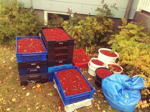 in Vindeln mit Garten, Terrasse und Grill by Interhome