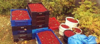 in Vindeln mit Garten, Terrasse und Grill by Interhome