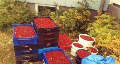 in Vindeln mit Garten, Terrasse und Grill by Interhome