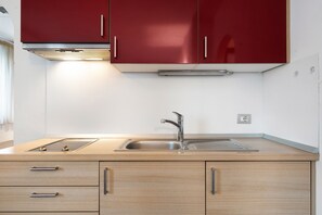 Fridge, microwave, stovetop, coffee/tea maker - Apartment 'Fewo 104' with Mountain View, Wi-Fi and Air Conditioning (St. Jakob)