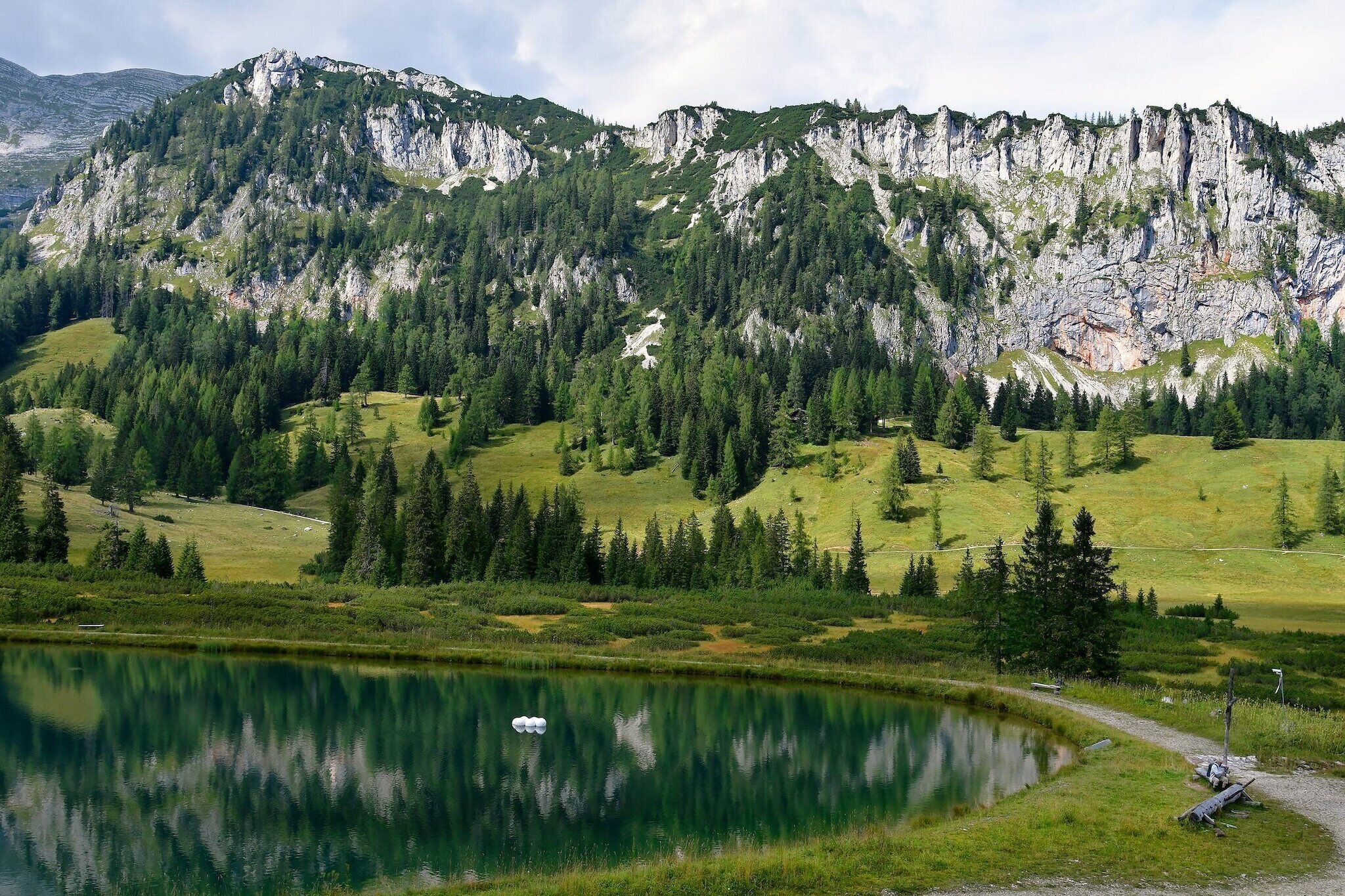 Un paysage montagneux avec un lac, des arbres et un sentier.