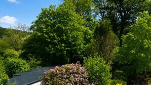 A house with a garden, surrounded by trees and greenery. - Domaine du Pin – Nature Escape for Groups (15)+ Spa & Activities -South Brittany (LANGUIDIC)