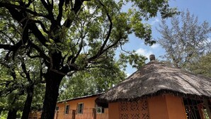 A traditional hut with a thatched roof, surrounded by trees and a fence.