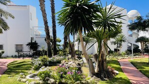 Un giardino curato con palme, un piccolo stagno e un vialetto.