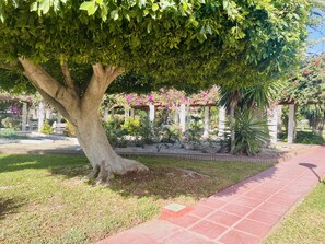 Apartment | 1 bedroom - Alma de Laguna Beach Torrox Costa (Torrox)