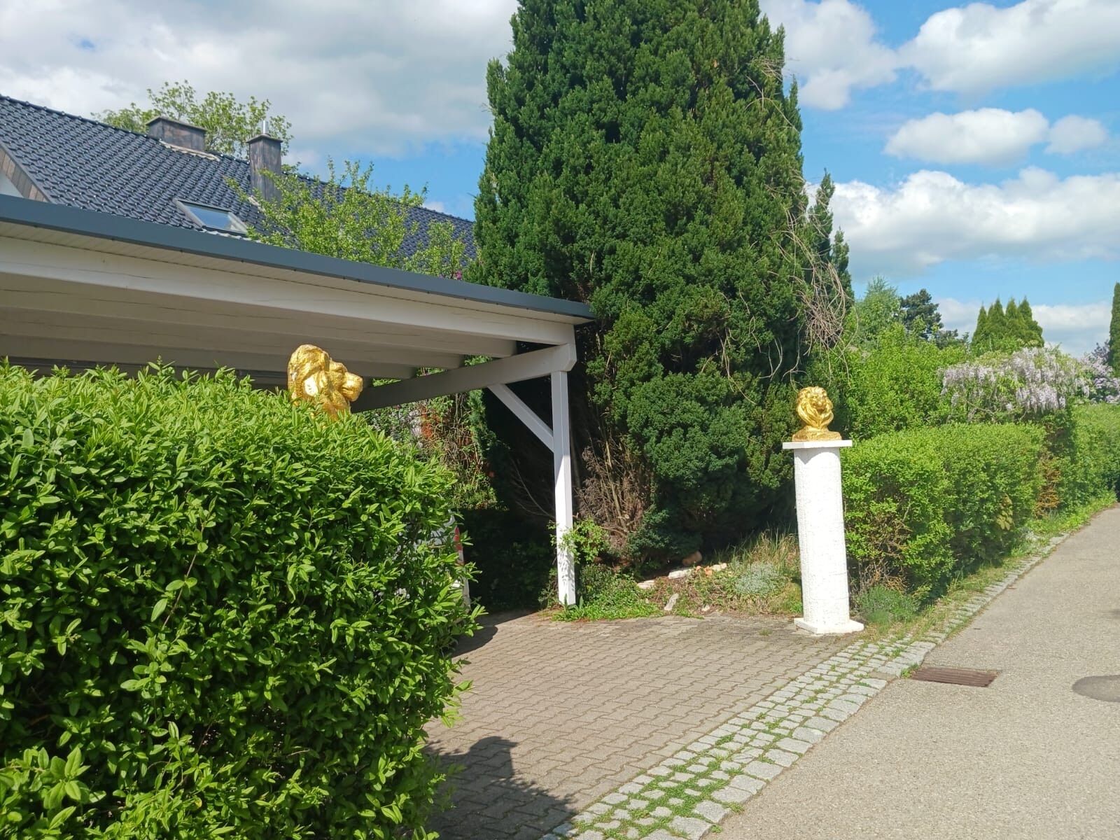 Área da propriedade