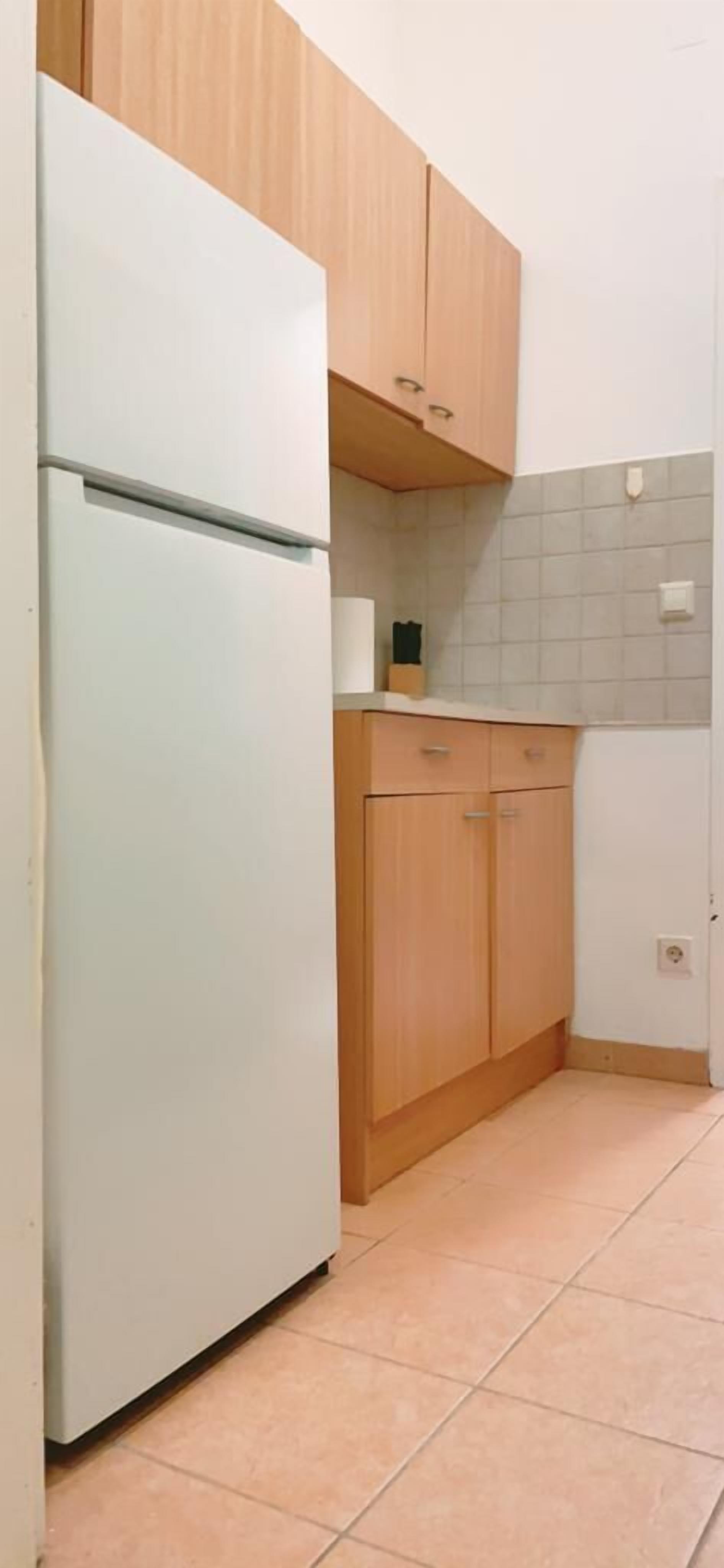 Basic Apartment | Private kitchen | Fridge, microwave, oven, stovetop