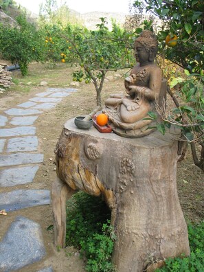 Exterior - Oasis Al Hamam Wellnesscamp  (Lucainena de las Torres)