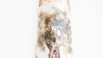 Yksityiskohta sisätiloista