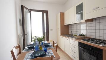 Fridge, oven, stovetop, cookware/dishes/utensils