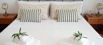 Ulivo Apartment with Private Terrace, Balcony and Wi-Fi