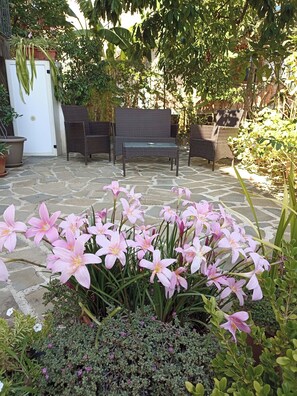 Property grounds - Comfortable Accommodation with Private Parking (Marina di Camerota)