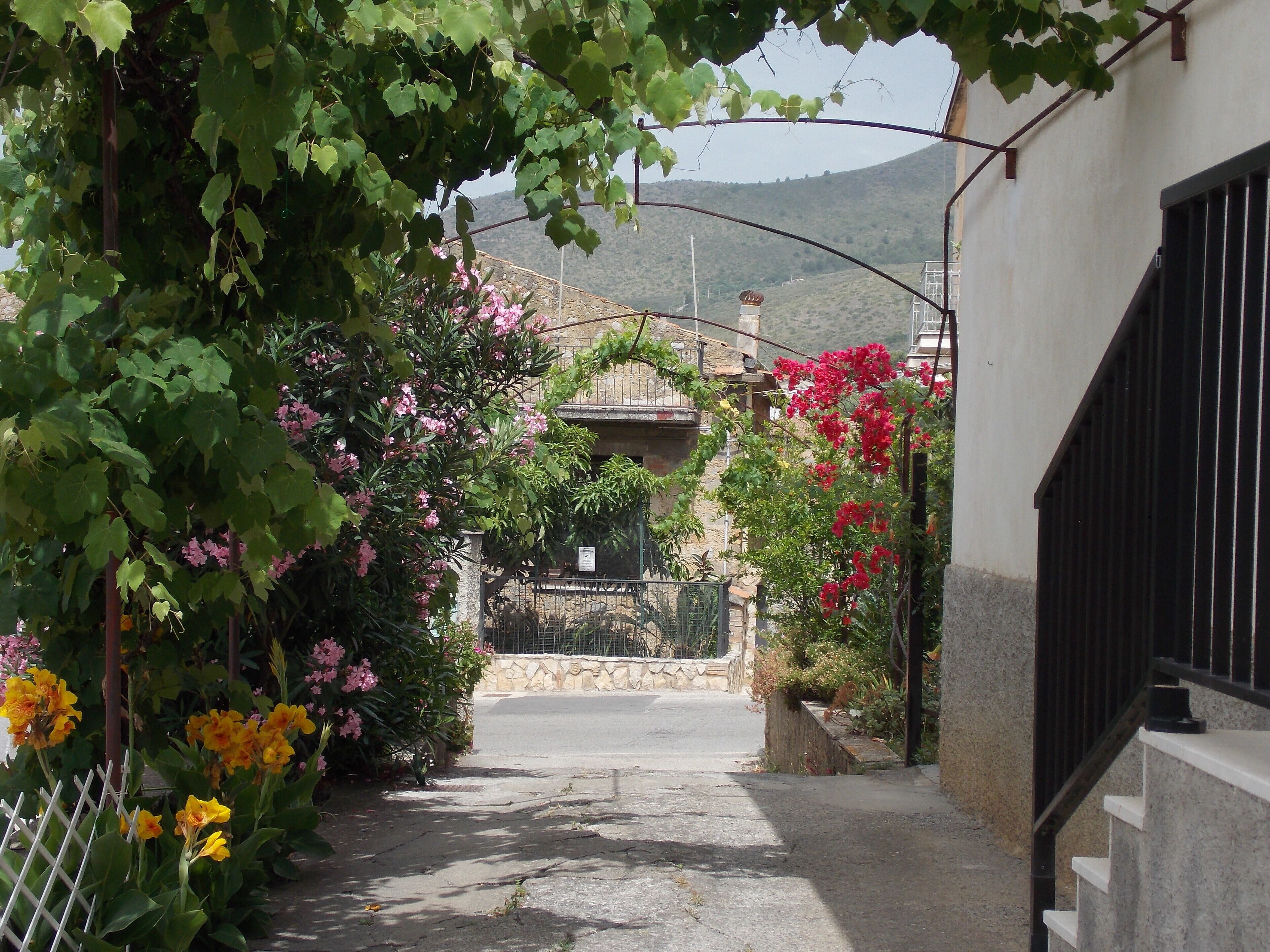 Parco della struttura