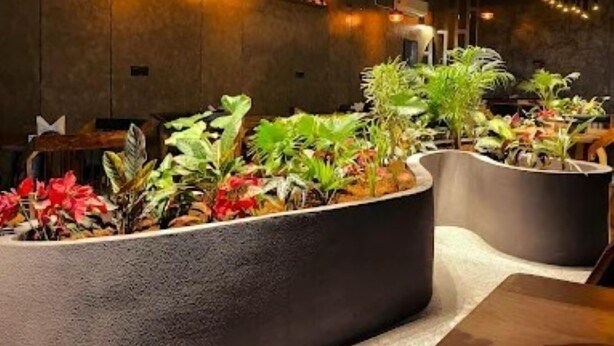 Ambiente moderno con fioriere curve piene di piante diverse, illuminazione a sospensione e colori neutri.