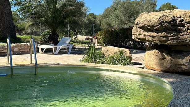 Ein Schwimmbad mit klarem Wasser, umgeben von einer terrassenförmigen Gestaltung mit Kies, einer großen Felsformation und einem Baum.