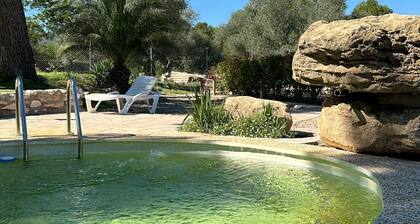 House with pool and animals, La Caseta.
