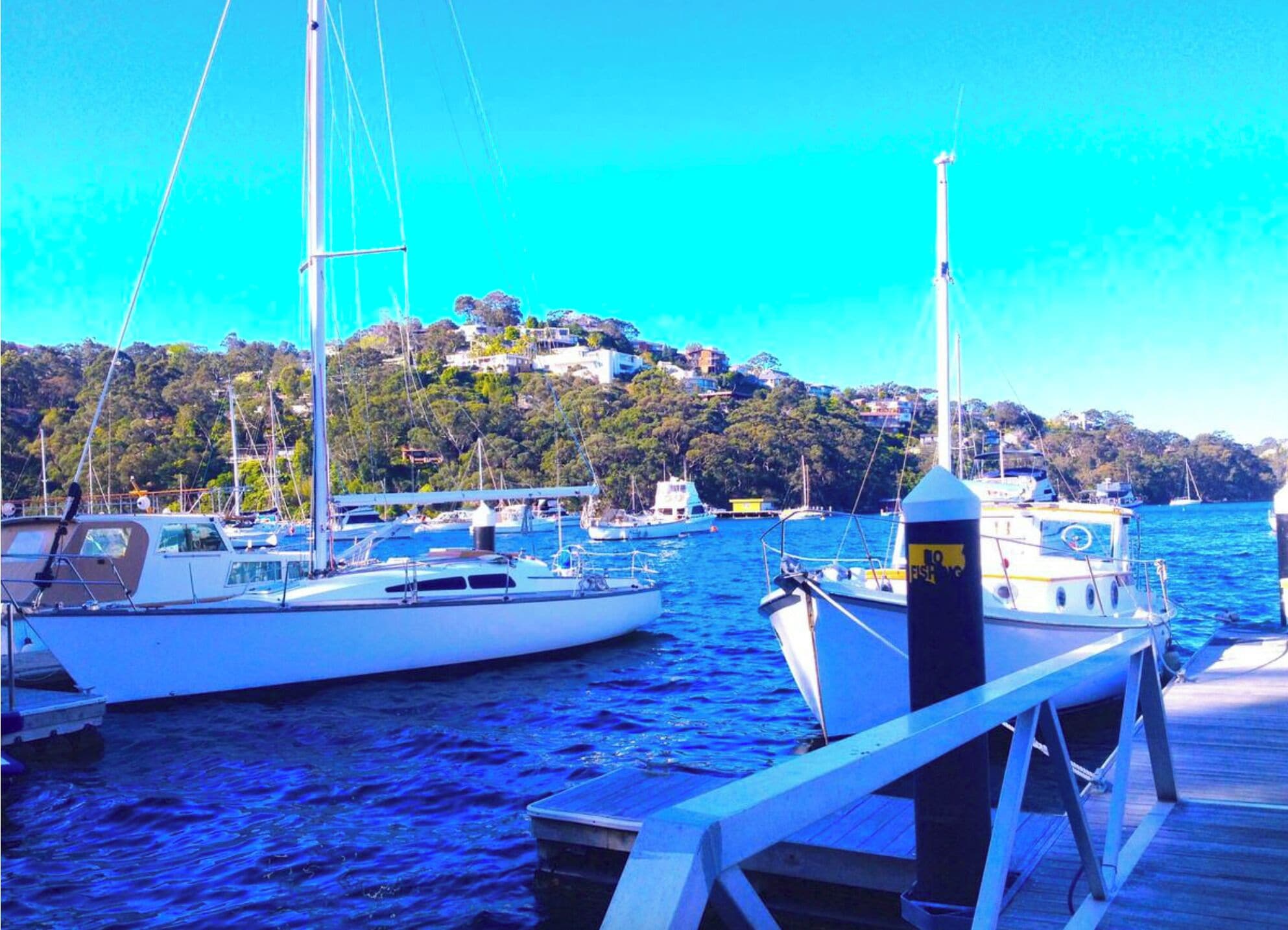 A marina with boats docked, a wooden pier, and a hill with buildings in the background.