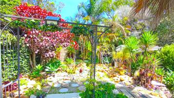 独立别墅, 3 间卧室, 热水浴缸, 花园景观 | 花园