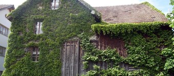 das schiefe Haus by Interhome