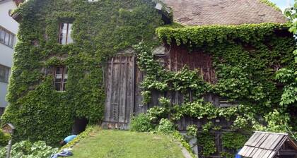 das schiefe Haus by Interhome