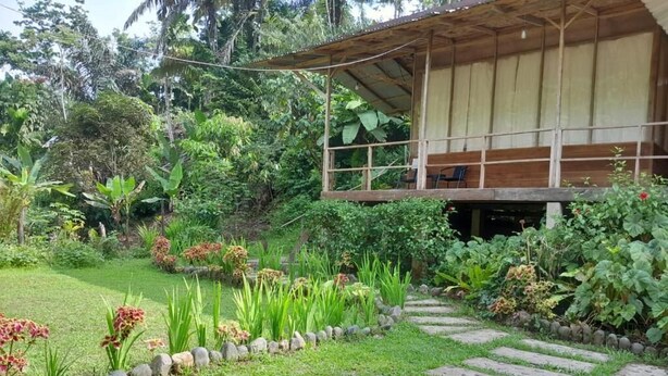 Una estructura de madera con balcón, rodeada por un jardín con senderos de piedra y diversas plantas.