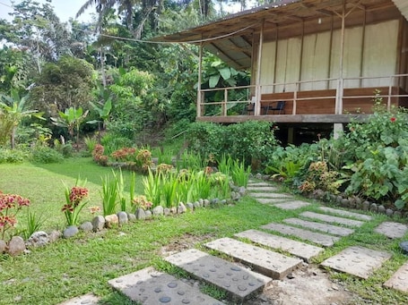 Property grounds. Bua Guest House Tangkahan