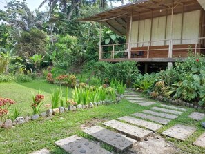 Property grounds - Bua Guest House Tangkahan (Langkat)