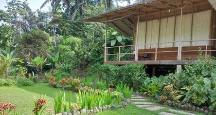 Bua Guest House Tangkahan