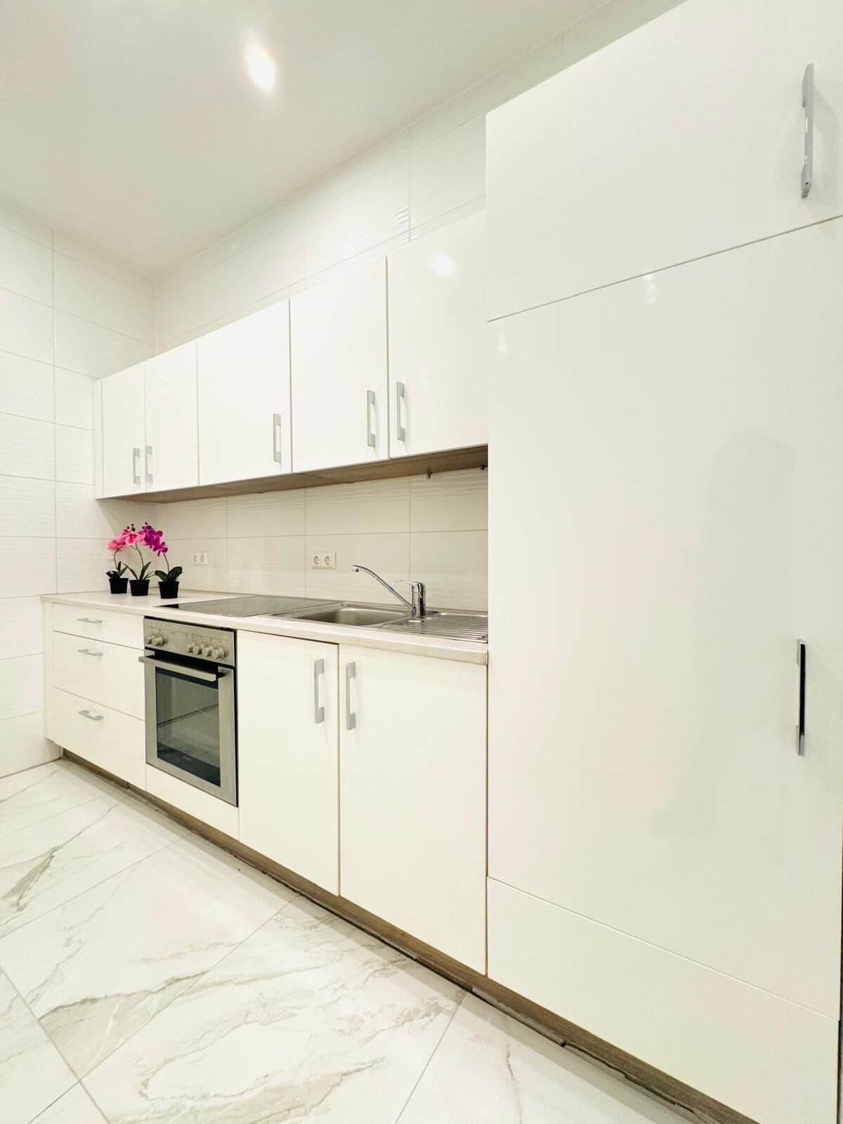 Basic Apartment | Private kitchen | Fridge, oven, stovetop, cookware/dishes/utensils