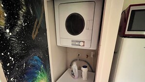 A compact laundry area with a washing machine, a dryer, and a small shelf with cleaning supplies. - Valley Views Barn - self contained accommodation with amazing views (Waiatarua)