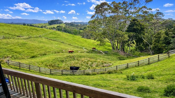 A rural landscape with green fields, a wooden fence, and a few cows grazing. - Valley Views Barn - self contained accommodation with amazing views (Waiatarua)