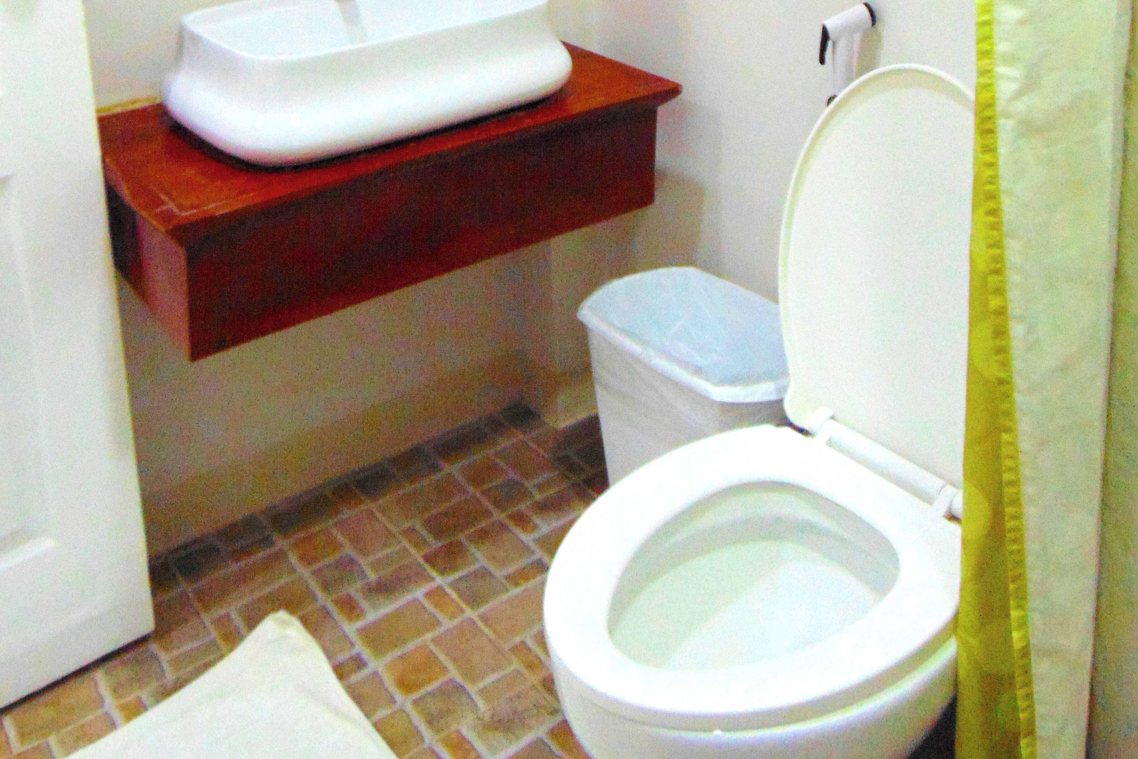 Une salle de bain avec des toilettes, un lavabo blanc posé sur une étagère en bois et une poubelle.