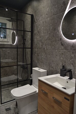 Assecador de cabells, tovalloles, sabó i paper higiènic 