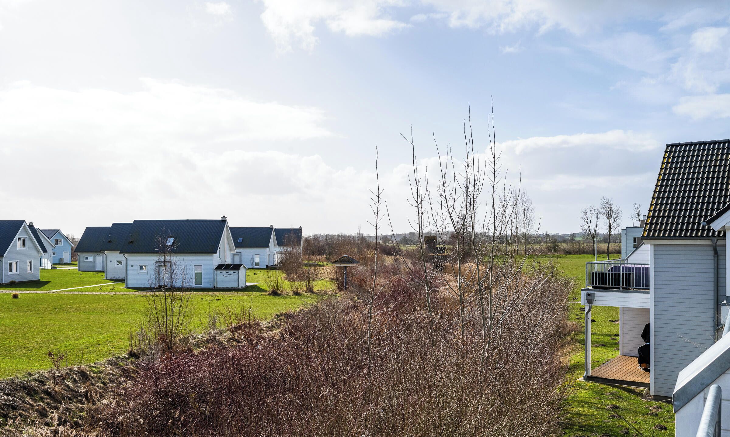 A row of white houses with dark roofs, a grassy field, and bare trees.