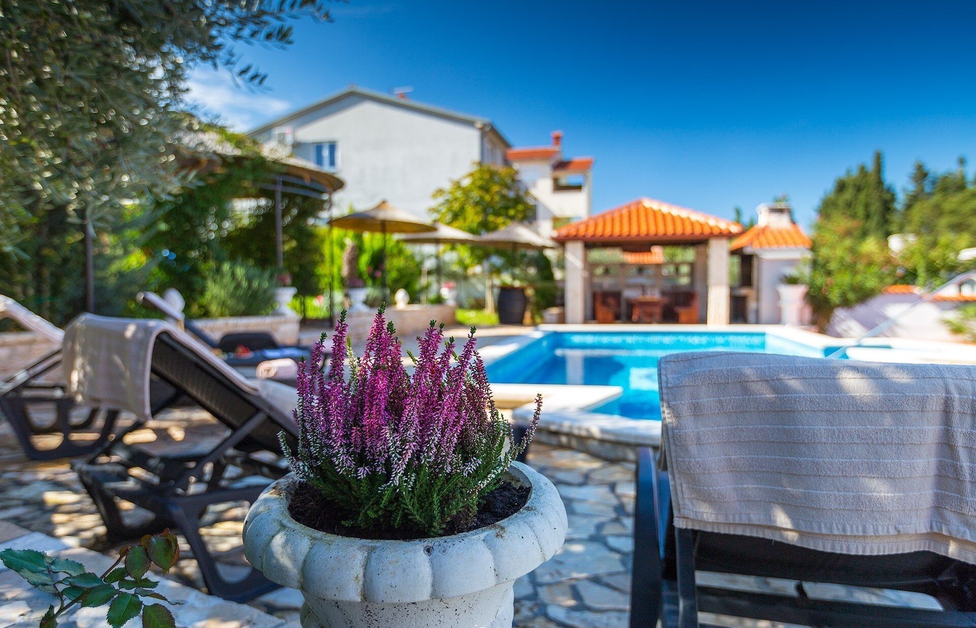 Ein Poolbereich mit Liegestühlen, einer Topfpflanze und einem Pool.