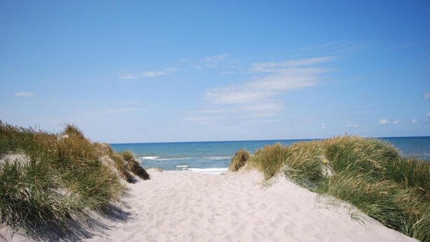 Ein Sandweg am Strand führt zum Meer, umgeben von grasbewachsenen Dünen.