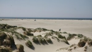 A beach with sand dunes and a clear sky. - VillaVilla 624 - Rømø, Sydjylland (Rømø)