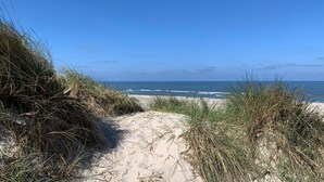 Ein Küstenpfad, der zum Meer führt, mit Sand und Gras an beiden Seiten.