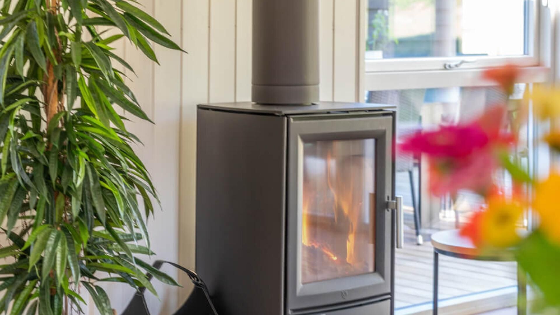 A wood-burning stove with a glass door, a potted plant, and a view of the outdoors through a window.