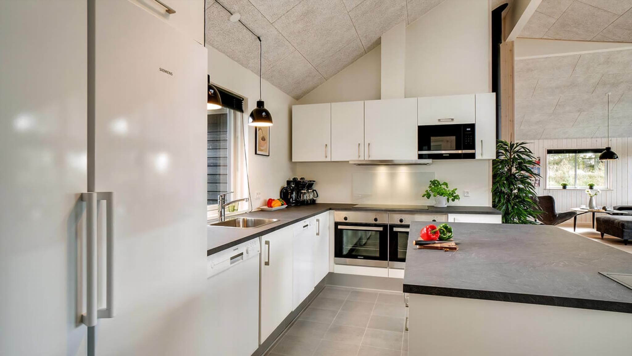 Fridge, oven, stovetop, coffee/tea maker