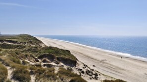 Ein Strand mit Dünen und blauem Himmel.