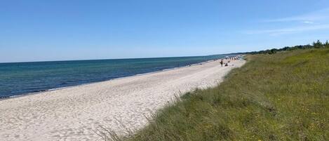Ranta